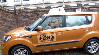 Fake Driving School - Louise Lee imádja a méretes farkat