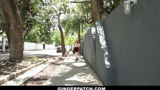 GingerPatch - szépséges pici vörös gádzsi és a szomszédja
