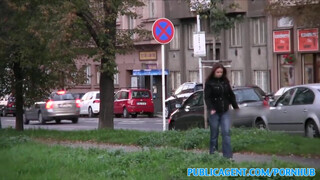 PublicAgent - Óriás keblű cseh bige