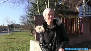 Public Agent - cseh bige kopasz pinácskája